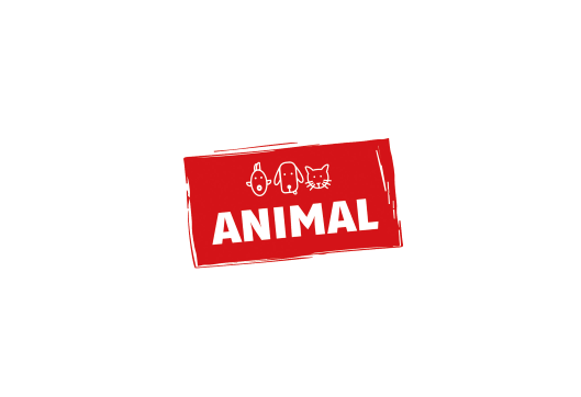 2025德国斯图加特宠物用品展览会（ANIMAL 2025）